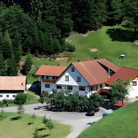 Holderstanzenhof Appartement Bad Peterstal-Griesbach Buitenkant foto