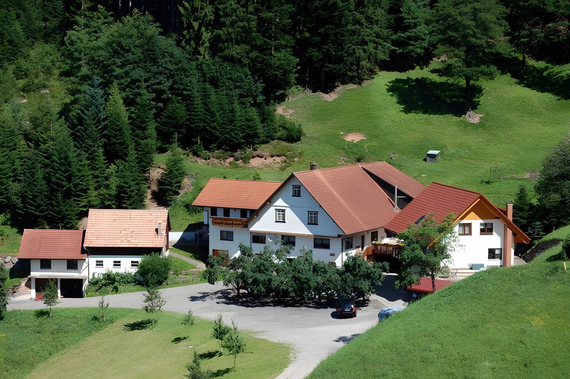 Holderstanzenhof Appartement Bad Peterstal-Griesbach Buitenkant foto