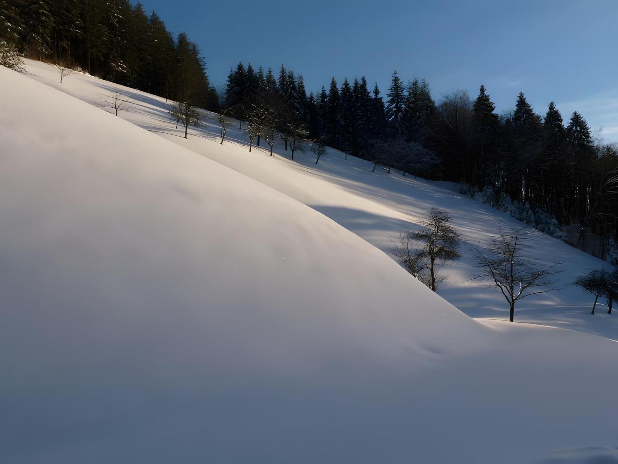 Holderstanzenhof Appartement Bad Peterstal-Griesbach Buitenkant foto