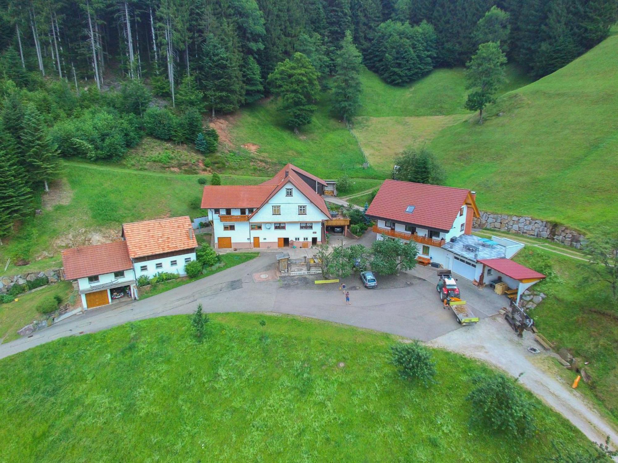 Holderstanzenhof Appartement Bad Peterstal-Griesbach Buitenkant foto