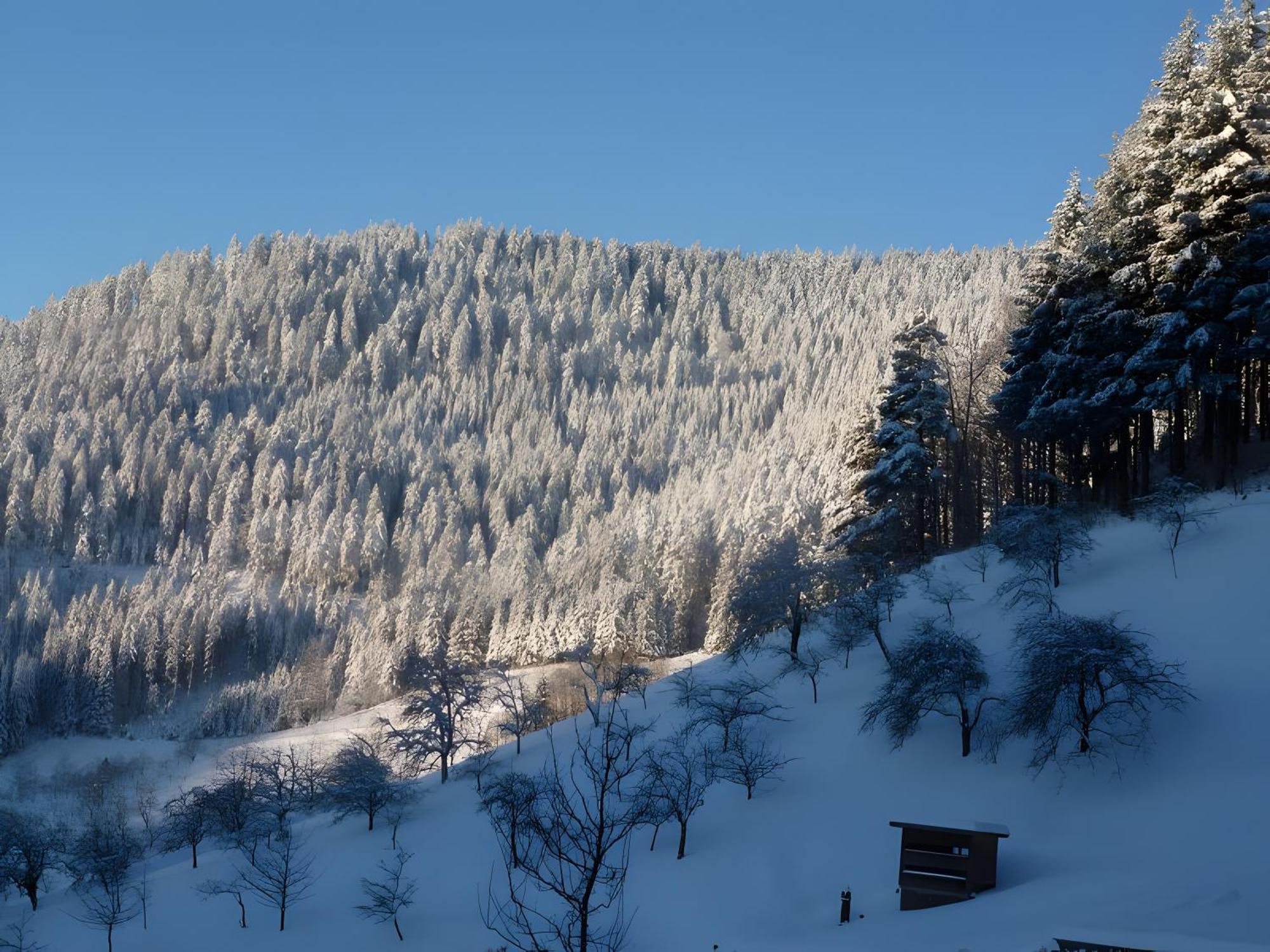 Holderstanzenhof Appartement Bad Peterstal-Griesbach Buitenkant foto