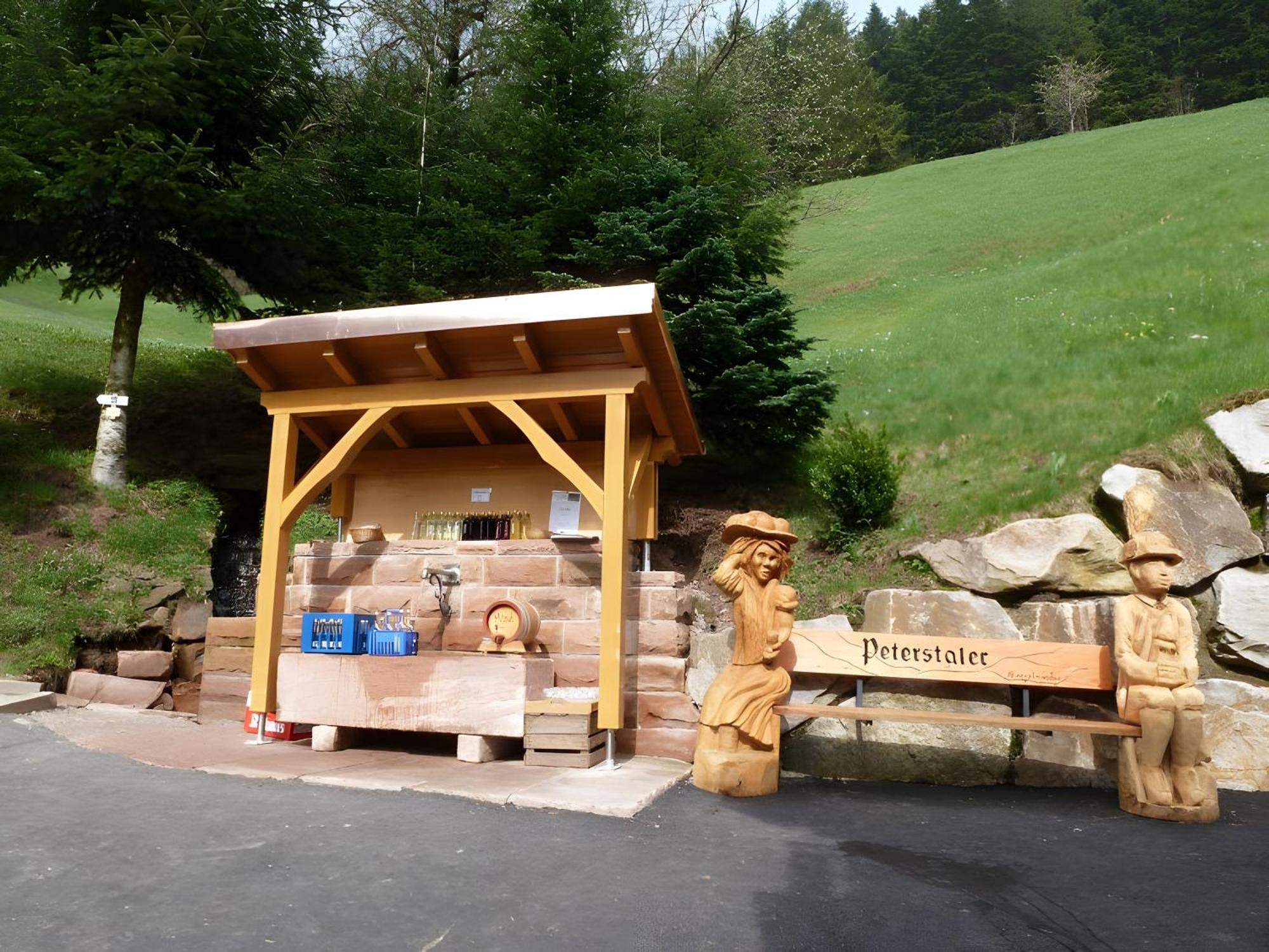 Holderstanzenhof Appartement Bad Peterstal-Griesbach Buitenkant foto