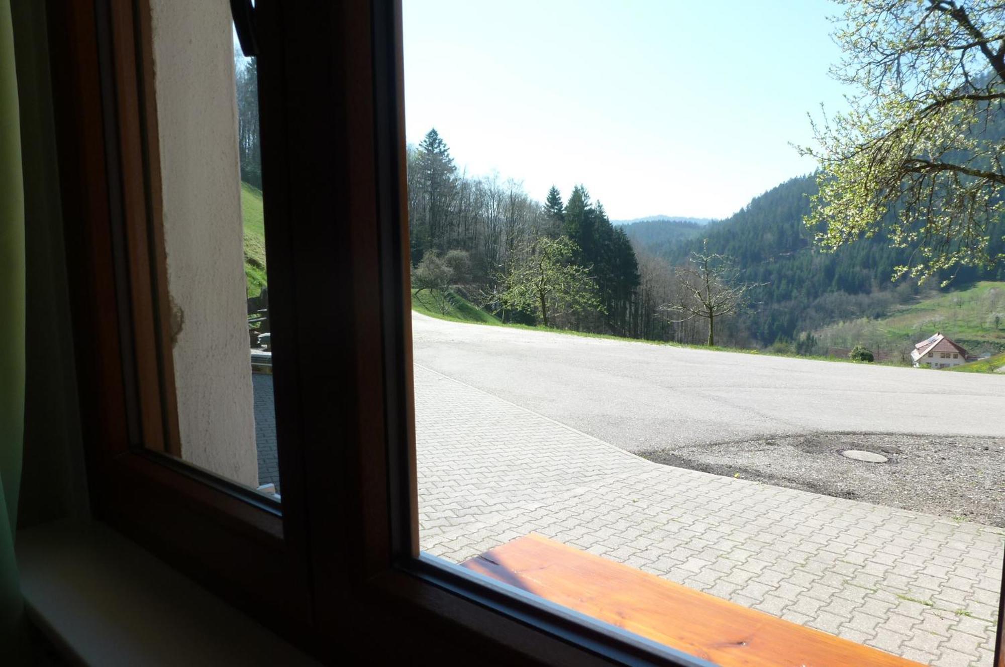 Holderstanzenhof Appartement Bad Peterstal-Griesbach Buitenkant foto