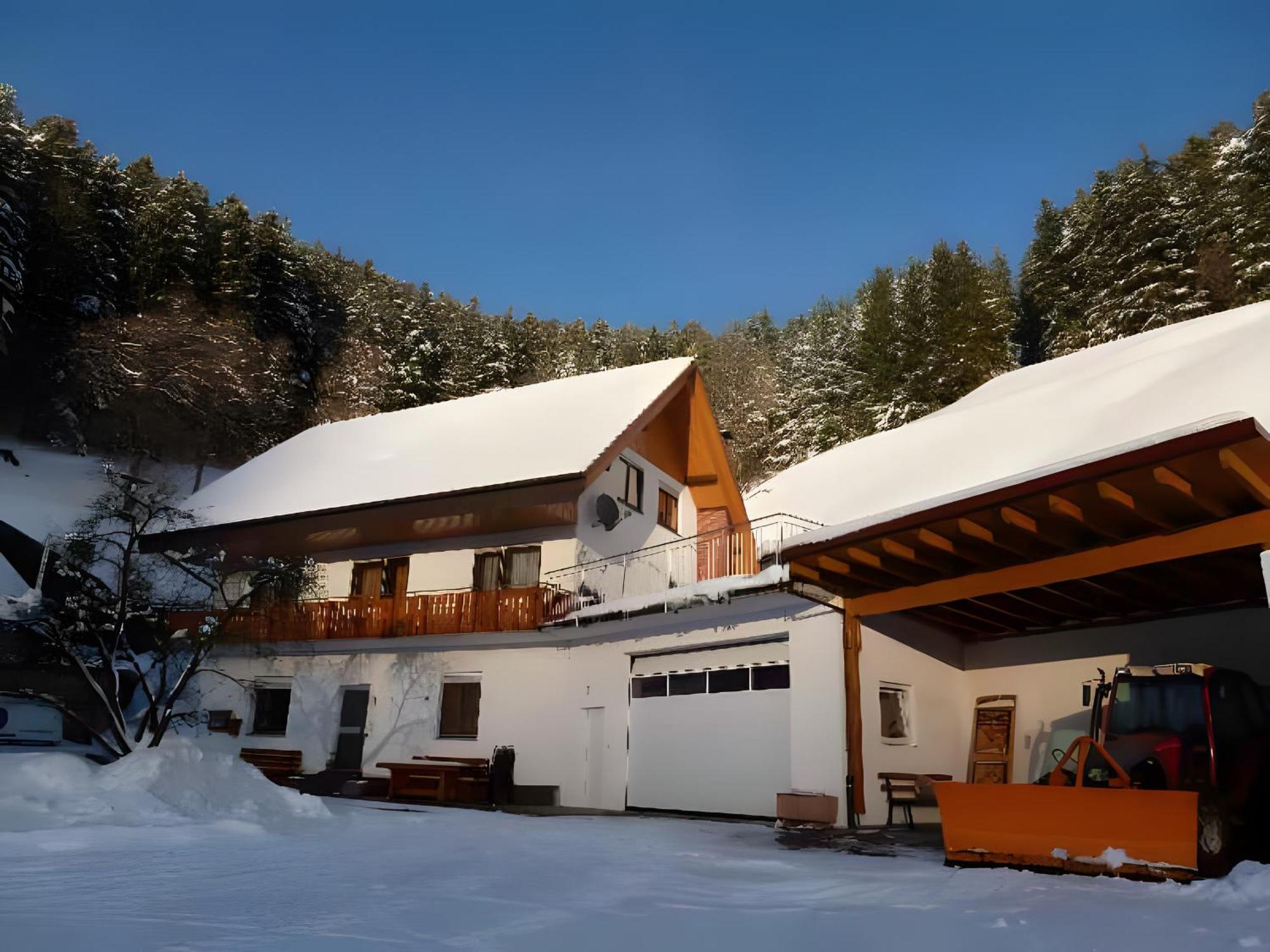 Holderstanzenhof Appartement Bad Peterstal-Griesbach Buitenkant foto