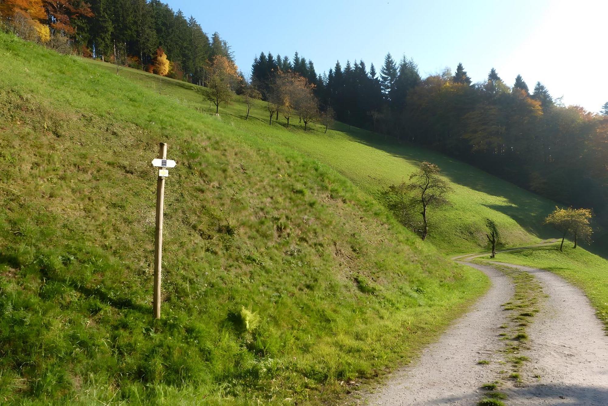 Holderstanzenhof Appartement Bad Peterstal-Griesbach Buitenkant foto